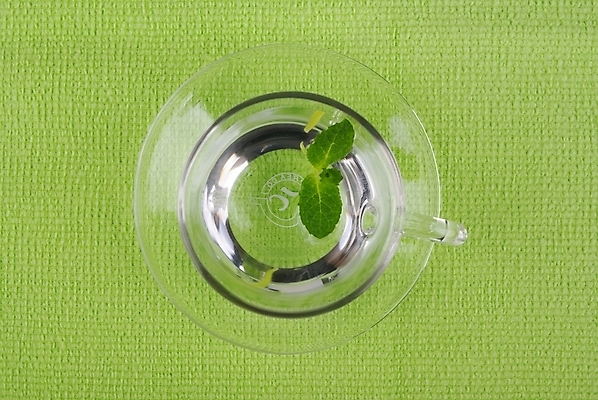 포토 JPG 스튜디오촬영 식물 웰빙 백그라운드 잎 잔 건강 사람없음 초록색 연두색 물 깨끗함 신선 찻잔 녹차 순수 모던 친환경 유기농 자연친화적 국내포토 자연요소 식기 컬러 컨셉 실내 차_음료 환경 파일형식