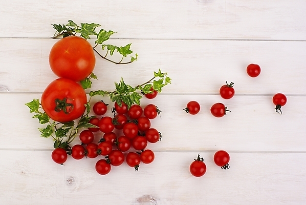 포토 JPG 스튜디오촬영 식물 열매 음식 잎 토마토 방울토마토 디저트 사람없음 장식 빨간색 하이앵글 신선 유기농 무농약 국내포토 웰빙 뷰포인트 컬러 채소 실내 파일형식
