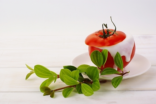 포토 JPG 스튜디오촬영 식물 그릇 접시 음식 잎 토마토 채소 식재료 디저트 사람없음 장식 빨간색 샐러드 신선 요거트 국내포토 식기 컬러 유제품 실내 파일형식