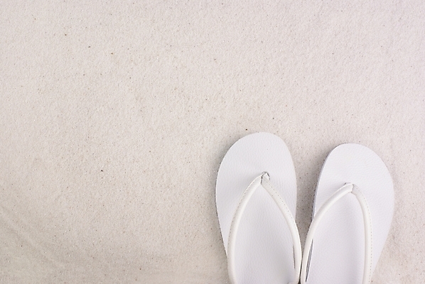 포토 JPG 잡화 백그라운드 신발 자연 슬리퍼 해변 사람없음 여름 모래사장 소라 쪼리 국내포토 계절 바다 어패류 샌들 생태계 파일형식