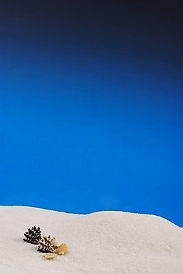 포토 JPG 백그라운드 자연 하늘 조개 연체동물 해변 사람없음 여름 파란색 모래사장 맑음 소라 모래언덕 국내포토 계절 바다 컬러 날씨 어패류 무척추동물 언덕 생태계 파일형식