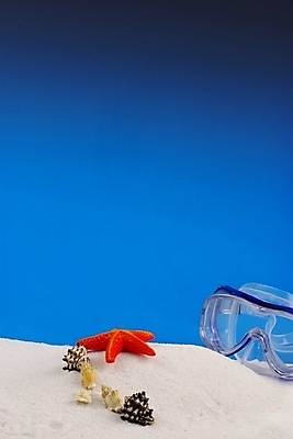 포토 JPG 백그라운드 자연 하늘 불가사리 극피동물 해변 사람없음 여름 파란색 모래사장 맑음 스노클링 소라 모래언덕 물안경 국내포토 동물 계절 바다 컬러 날씨 어패류 수상스포츠 언덕 생태계 수영용품 파일형식