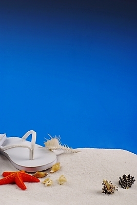 포토 JPG 잡화 백그라운드 신발 자연 하늘 불가사리 슬리퍼 해변 사람없음 여름 파란색 모래사장 맑음 소라 쪼리 모래언덕 국내포토 계절 바다 컬러 날씨 어패류 극피동물 샌들 언덕 생태계 파일형식