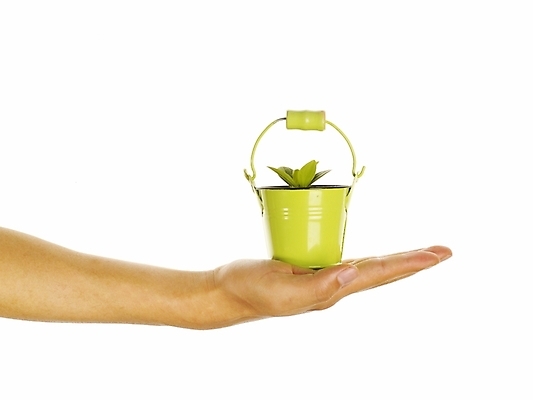 포토 JPG 스튜디오촬영 식물 손 화분 포즈 부분 자연 생명 한손 누끼 손짓 라이프 신체부위 새싹 환경 희망 소중 식목일 양철화분 국내포토 기념일 감정 컨셉 모션 실내 사람 생활 생태계 파일형식