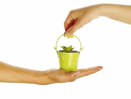 포토 JPG 스튜디오촬영 식물 손 화분 포즈 부분 자연 생명 협력 누끼 손짓 라이프 신체부위 새싹 환경 희망 양손 도움 소중 식목일 양철화분 국내포토 기념일 감정 컨셉 모션 실내 사람 생활 생태계 파일형식