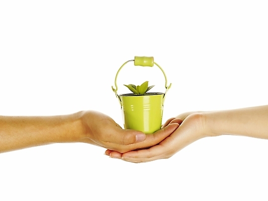 포토 JPG 스튜디오촬영 식물 손 화분 포즈 부분 자연 생명 협력 누끼 손짓 라이프 신체부위 새싹 환경 희망 양손 도움 소중 식목일 양철화분 국내포토 기념일 감정 컨셉 모션 실내 사람 생활 생태계 파일형식