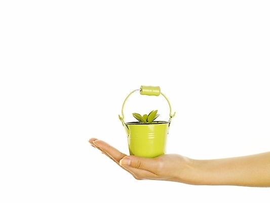 포토 JPG 스튜디오촬영 식물 손 화분 포즈 부분 자연 생명 한손 누끼 손짓 라이프 신체부위 새싹 환경 희망 소중 식목일 양철화분 국내포토 기념일 감정 컨셉 모션 실내 사람 생활 생태계 파일형식