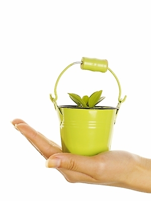 포토 JPG 스튜디오촬영 식물 손 화분 포즈 부분 자연 생명 한손 누끼 손짓 라이프 신체부위 새싹 환경 희망 소중 식목일 양철화분 국내포토 기념일 감정 컨셉 모션 실내 사람 생활 생태계 파일형식