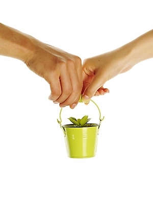 포토 JPG 스튜디오촬영 식물 손 화분 포즈 부분 자연 생명 협력 누끼 손짓 라이프 신체부위 새싹 환경 희망 양손 도움 소중 식목일 양철화분 국내포토 기념일 감정 컨셉 모션 실내 사람 생활 생태계 파일형식