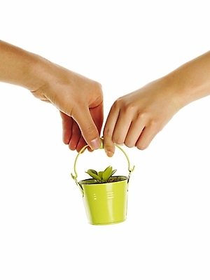 포토 JPG 스튜디오촬영 식물 손 화분 포즈 부분 자연 생명 협력 누끼 손짓 라이프 신체부위 새싹 환경 희망 양손 도움 소중 식목일 양철화분 국내포토 기념일 감정 컨셉 모션 실내 사람 생활 생태계 파일형식