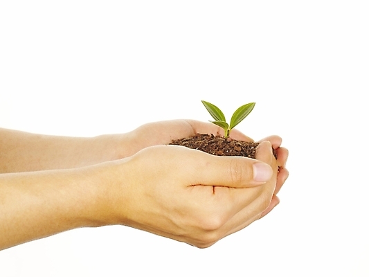 포토 JPG 스튜디오촬영 식물 손 포즈 부분 자연 생명 누끼 손짓 라이프 신체부위 새싹 환경 흙 양손 소중 식목일 국내포토 기념일 컨셉 모션 실내 사람 생활 생태계 파일형식