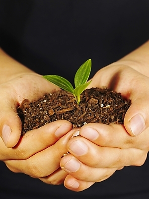 포토 JPG 스튜디오촬영 식물 손 포즈 부분 자연 생명 손짓 라이프 신체부위 새싹 환경 흙 양손 소중 식목일 국내포토 기념일 컨셉 모션 실내 사람 생활 생태계 파일형식