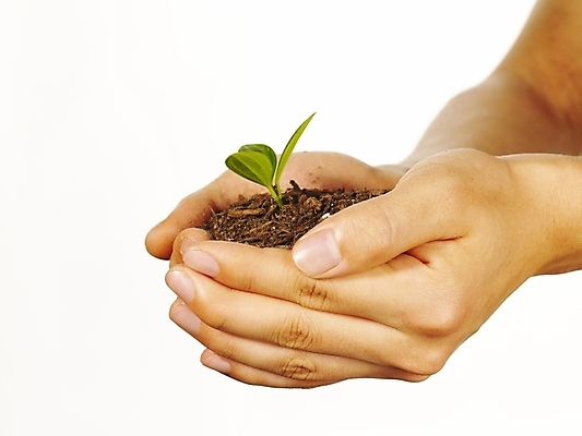 포토 JPG 스튜디오촬영 식물 손 포즈 부분 자연 생명 손짓 라이프 신체부위 새싹 환경 흙 양손 소중 식목일 국내포토 기념일 컨셉 모션 실내 사람 생활 생태계 파일형식