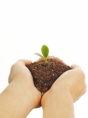 포토 JPG 스튜디오촬영 식물 손 포즈 부분 자연 생명 누끼 손짓 라이프 신체부위 새싹 환경 흙 양손 소중 식목일 국내포토 기념일 컨셉 모션 실내 사람 생활 생태계 파일형식