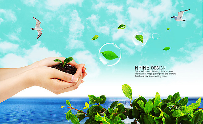 PSD 식물 구름 편집 편집이미지 손 사계절 계절 바다 백그라운드 자연 갈매기 하늘 나뭇잎 풍경 신체부위 여름 새싹 환경 흙 물방울 디지털합성 공기방울 합성 편집포토 이미지편집 자연요소 잎 조류 사람 생태계 파일형식