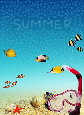 PSD 편집 편집이미지 사계절 계절 바다 백그라운드 자연 불가사리 어류 풍경 사람없음 여름 바닷속 해저 물방울 소라 물안경 열대어 디지털합성 합성 스노클링용품 편집포토 이미지편집 스포츠용품 어패류 극피동물 수중 수중동물 스노클링 생태계 수영용품 파일형식