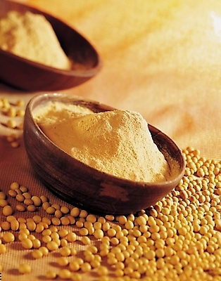 포토 JPG 그릇 음식 식재료 콩 실내 근접촬영 사람없음 세로 콩가루 국내포토 식기 뷰포인트 곡류 내부 가루 파일형식