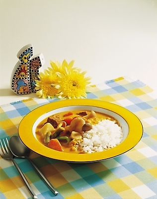 포토 JPG 그릇 식기 접시 꽃 한식 음식 밥 한국 국화 실내 근접촬영 사람없음 장식 세로 식탁보 양념통 카레라이스 카레덮밥 국내포토 식물 아시아 뷰포인트 통 내부 양념 덮밥 카레 파일형식