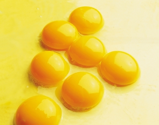 포토 JPG 음식 컬러 식재료 실내 근접촬영 사람없음 가로 노란색 계란 알 노른자 흰자 국내포토 뷰포인트 내부 파일형식