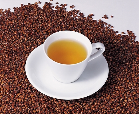 포토 JPG 음료 실내 근접촬영 사람없음 가로 차 찻잔 보리 보리차 국내포토 뷰포인트 잔 곡류 내부 차_음료 파일형식