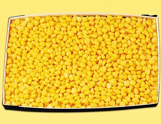 포토 JPG 음식 컬러 식재료 콩 실내 옥수수 근접촬영 사람없음 가로 노란색 옥수수콘 국내포토 뷰포인트 곡류 내부 파일형식