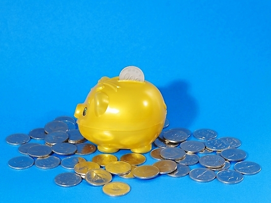 포토 JPG 스튜디오촬영 돈 사람없음 금융 경제 동전 저축 돼지저금통 저금통 원화 오백원 오브젝트 국내포토 실내 재산 파일형식