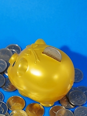 포토 JPG 스튜디오촬영 돈 사람없음 금융 경제 동전 저축 돼지저금통 저금통 원화 오백원 오브젝트 국내포토 실내 재산 파일형식