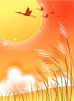 EPS 동물 구름 척추동물 사계절 계절 백그라운드 일러스트 자연 조류 하늘 갈대 풍경 사람없음 야외 태양 노을 가을 가을배경 국내일러스트 자연요소 식물 생태계 파일형식 벡터 가을_계절
