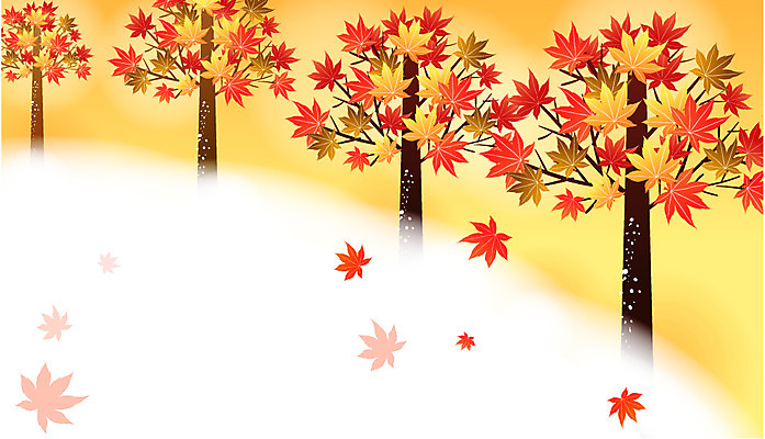 EPS 나무 식물 사계절 계절 백그라운드 단풍 낙엽 일러스트 자연 단풍나무 여러그루 풍경 사람없음 야외 가을 숲 가을배경 국내일러스트 다수 잎 생태계 파일형식 벡터 가을_계절