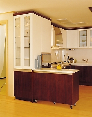 포토 JPG 시설물 현대건축 건축 실내 사람없음 세로 인테리어 주방 거울 가스레인지 찬장 레몬 싱크대 조리대 식기세척기 국내포토 건축물 디자인 가구 과일 내부 가전제품 레인지 개수대 파일형식