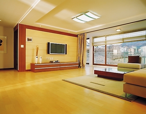 포토 JPG 시설물 현대건축 건축 가구 액자 거실 탁자 조명 실내 사람없음 가로 인테리어 소파 텔레비전 가전제품 커튼 천장 서랍장 PDP 벽걸이TV 국내포토 건축물 디자인 생활용품 의자 내부 전자제품 파일형식