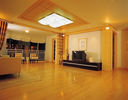 포토 JPG 시설물 현대건축 건축 액자 거실 의자 조명 실내 사람없음 가로 인테리어 소파 텔레비전 가전제품 커튼 천장 서랍장 국내포토 건축물 디자인 가구 내부 전자제품 파일형식