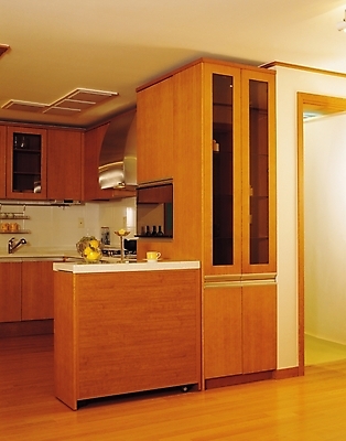 포토 JPG 시설물 현대건축 건축 거실 실내 사람없음 세로 인테리어 주방 싱크대 서랍장 조리대 국내포토 건축물 디자인 가구 내부 개수대 파일형식