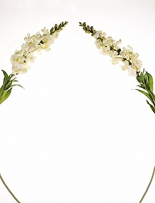 포토 JPG 식물 꽃 백그라운드 프레임 틀 누끼 사람없음 장식 흰색 두송이 국내포토 컬러 2 파일형식