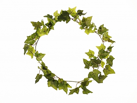 포토 JPG 식물 백그라운드 잎 프레임 틀 누끼 사람없음 장식 원형 아이비 원형프레임 국내포토 도형 파일형식