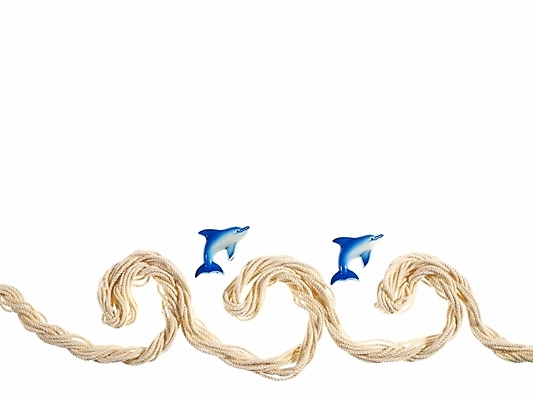 포토 JPG 파도 바다 백그라운드 프레임 어류 틀 누끼 사람없음 장식 여름 실 돌고래 실타래 국내포토 계절 포유류 수중동물 파일형식