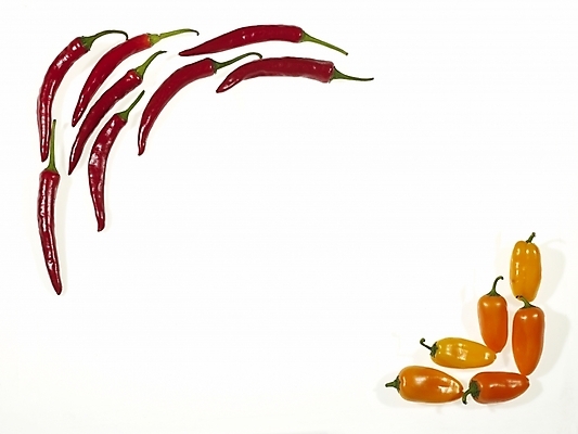 포토 JPG 음식 백그라운드 채소 식재료 고추 피망 파프리카 사각프레임 프레임 틀 누끼 사람없음 장식 사각형 홍고추 미니파프리카 국내포토 도형 파일형식