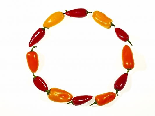 포토 JPG 음식 백그라운드 채소 식재료 피망 파프리카 프레임 틀 누끼 사람없음 장식 원형 원형프레임 미니파프리카 국내포토 도형 파일형식