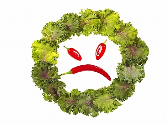 포토 JPG 음식 백그라운드 채소 식재료 프레임 표정 틀 누끼 사람없음 장식 원형 상추 원형프레임 국내포토 도형 파일형식