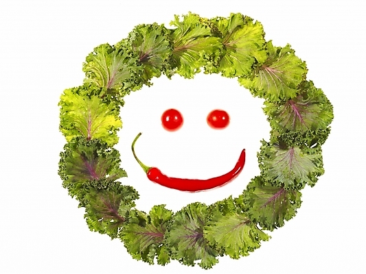 포토 JPG 음식 백그라운드 채소 식재료 방울토마토 프레임 표정 틀 미소 웃음 누끼 사람없음 장식 원형 상추 홍고추 원형프레임 쌈채소 국내포토 도형 토마토 고추 파일형식