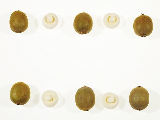 포토 JPG 식물 열매 음식 백그라운드 과일 식재료 사각프레임 프레임 키위 틀 누끼 사람없음 장식 사각형 버섯 양송이 국내포토 도형 파일형식