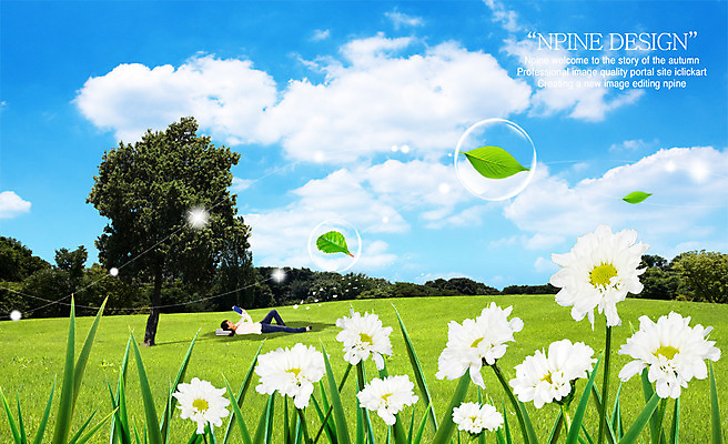 PSD 나무 구름 편집 편집이미지 사계절 계절 공원 여자 꽃 백그라운드 자연 하늘 휴식 나뭇잎 국화 한명 사람 풍경 잔디 초원 20대 성인 책 독서 가을 물방울 디지털합성 공기방울 합성 여자만 여자한명만 성인여자만 청년만 청년여자만 성인한명만 청년여자한명만 성인여자한명만 성인만 이미지편집 자연요소 식물 1 공공시설 컨셉 잎 청년 생태계 파일형식