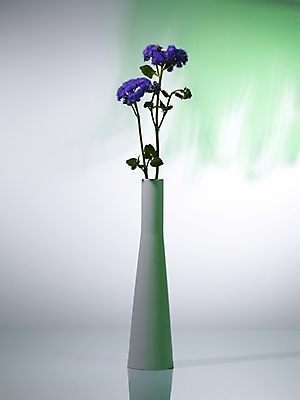 포토 JPG 식물 꽃 컬러 여러송이 실내 근접촬영 사람없음 장식 세로 꽃병 보라색 스타치스 스타티스 국내포토 뷰포인트 다수 내부 파일형식