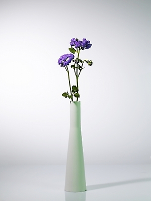 포토 JPG 식물 꽃 컬러 여러송이 실내 근접촬영 사람없음 장식 세로 꽃병 보라색 스타치스 스타티스 국내포토 뷰포인트 다수 내부 파일형식