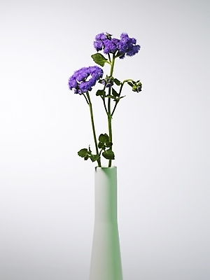 포토 JPG 식물 꽃 컬러 여러송이 실내 근접촬영 사람없음 장식 세로 꽃병 보라색 스타치스 스타티스 국내포토 뷰포인트 다수 내부 파일형식