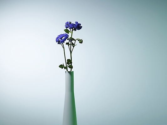 포토 JPG 식물 꽃 컬러 여러송이 실내 근접촬영 사람없음 가로 꽃병 보라색 스타치스 스타티스 국내포토 뷰포인트 다수 내부 파일형식