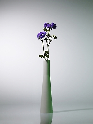 포토 JPG 식물 꽃 컬러 여러송이 실내 그림자 근접촬영 사람없음 세로 꽃병 보라색 스타치스 스타티스 국내포토 뷰포인트 다수 내부 파일형식