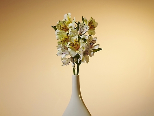 포토 JPG 식물 꽃 여러송이 실내 근접촬영 사람없음 가로 노란색 꽃병 백합 알스트로에메리아 국내포토 뷰포인트 컬러 다수 내부 파일형식