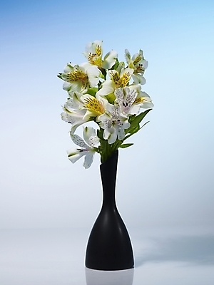 포토 JPG 식물 꽃 여러송이 실내 그림자 근접촬영 사람없음 세로 노란색 꽃병 백합 알스트로에메리아 국내포토 뷰포인트 컬러 다수 내부 파일형식