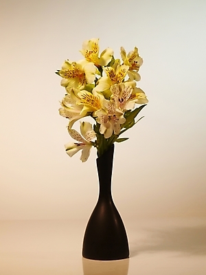 포토 JPG 식물 꽃 여러송이 실내 그림자 근접촬영 사람없음 세로 노란색 꽃병 백합 알스트로에메리아 국내포토 뷰포인트 컬러 다수 내부 파일형식